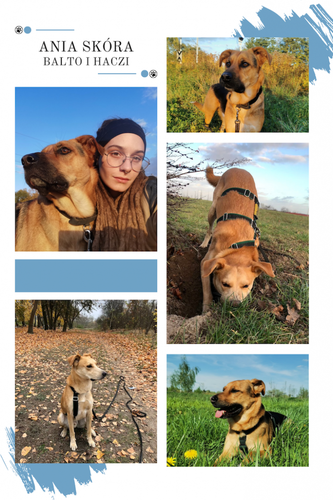 Ania - Trenerka psów