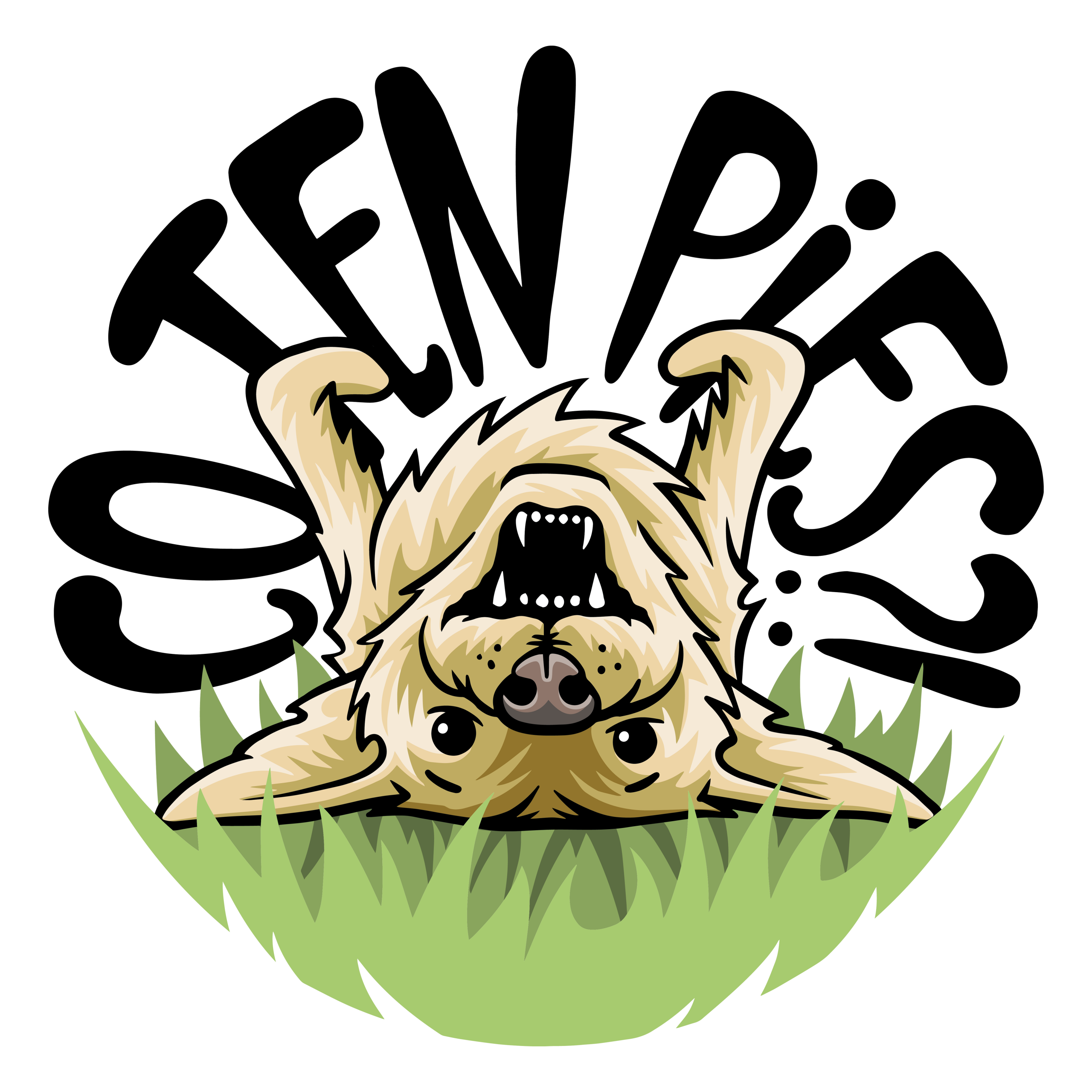 Co Ten Pies Logo